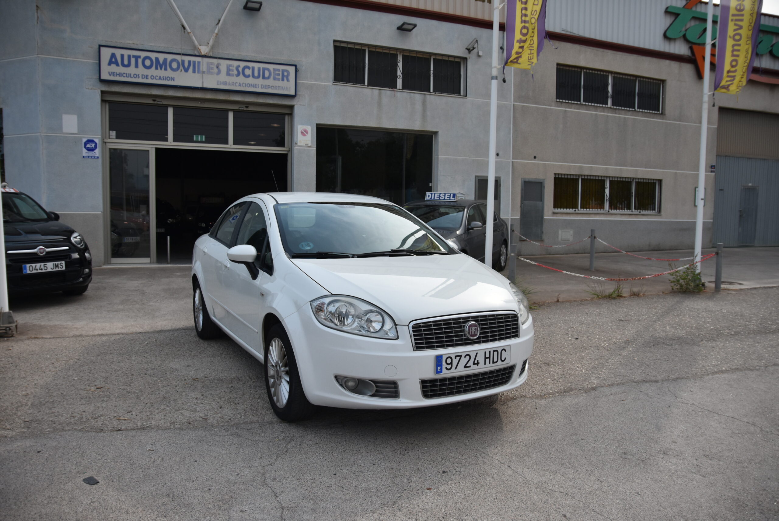 DSD_6734